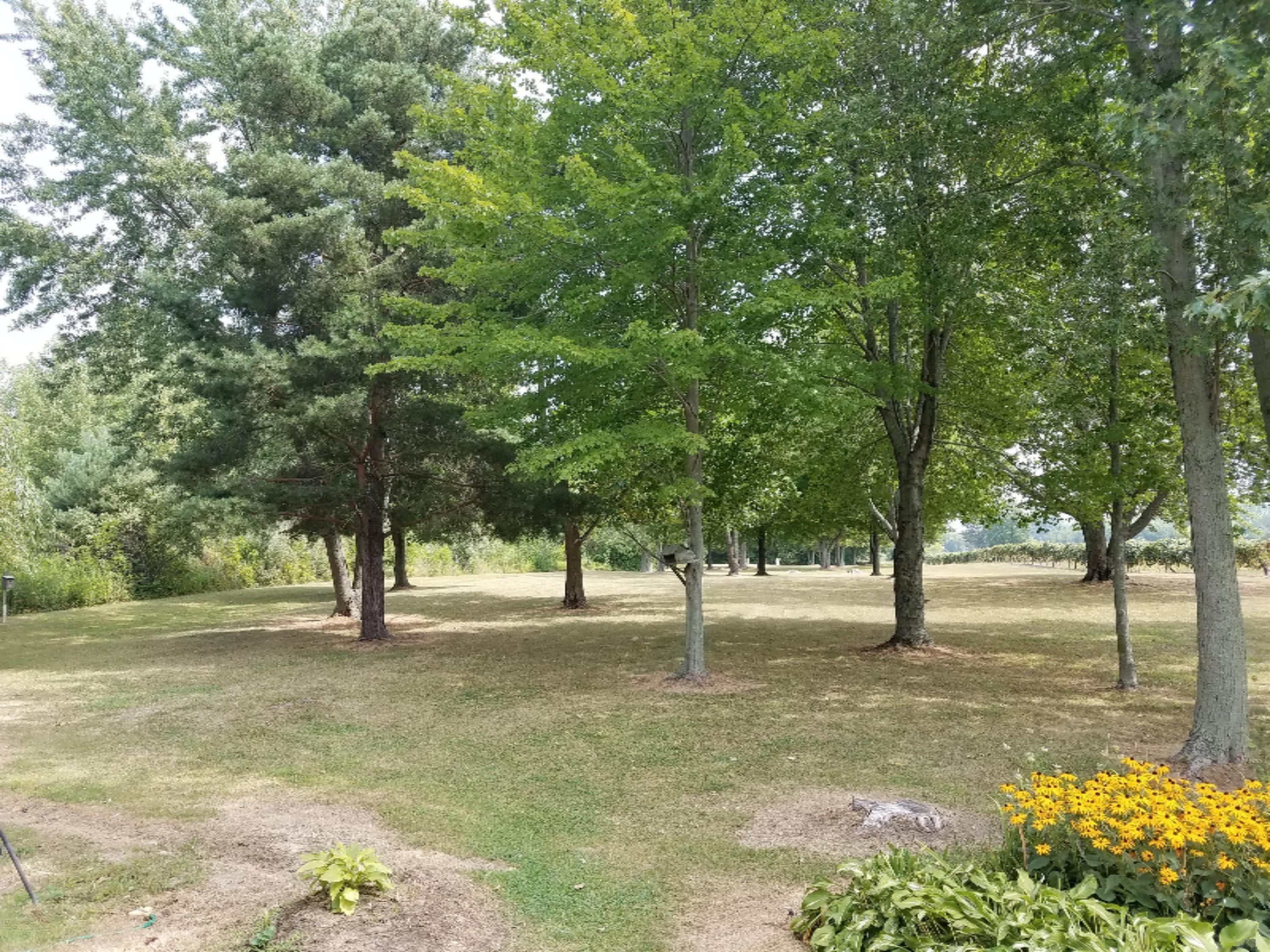 7959 Jericho Road Stevensville, MI 49127 - Photo 24 of 27 20170821_133430