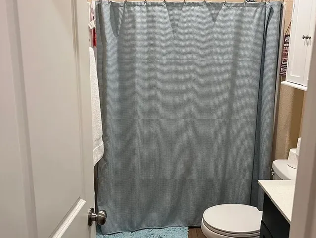 a white toilet sitting next to a shower curtain