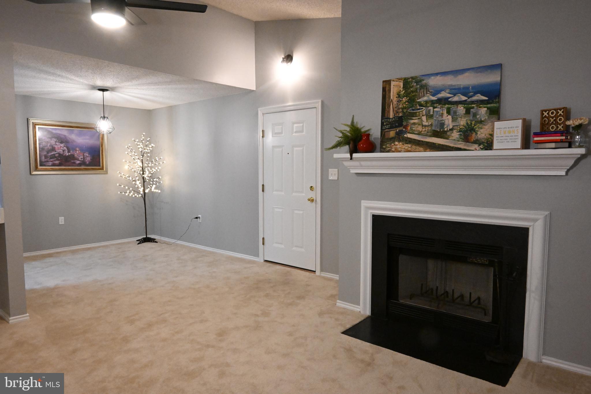 20965 Timber Ridge Terrace, Unit 304 Ashburn, VA 20147 - Photo 37 of 61 a living room with a fireplace