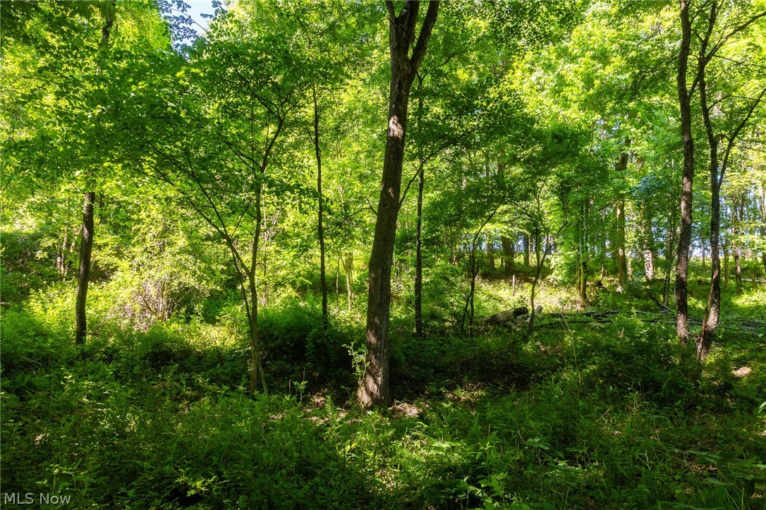 Ridge Road Minerva, OH 44657 - Photo 28 of 49