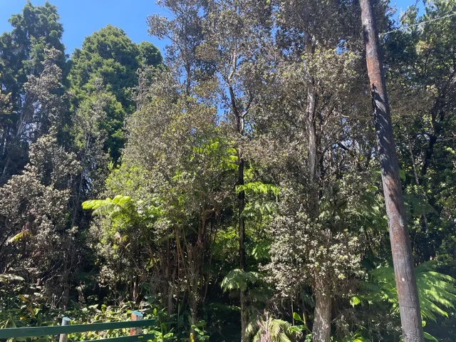 $75,000 | 19-4243 Io Place, Volcano, HI 96785