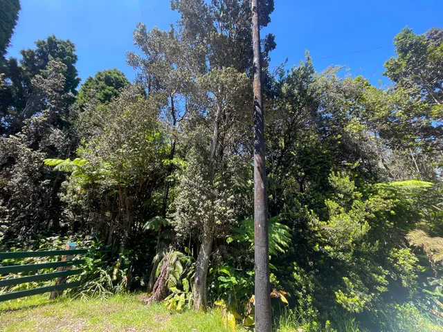 $75,000 | 19-4243 Io Place, Volcano, HI 96785