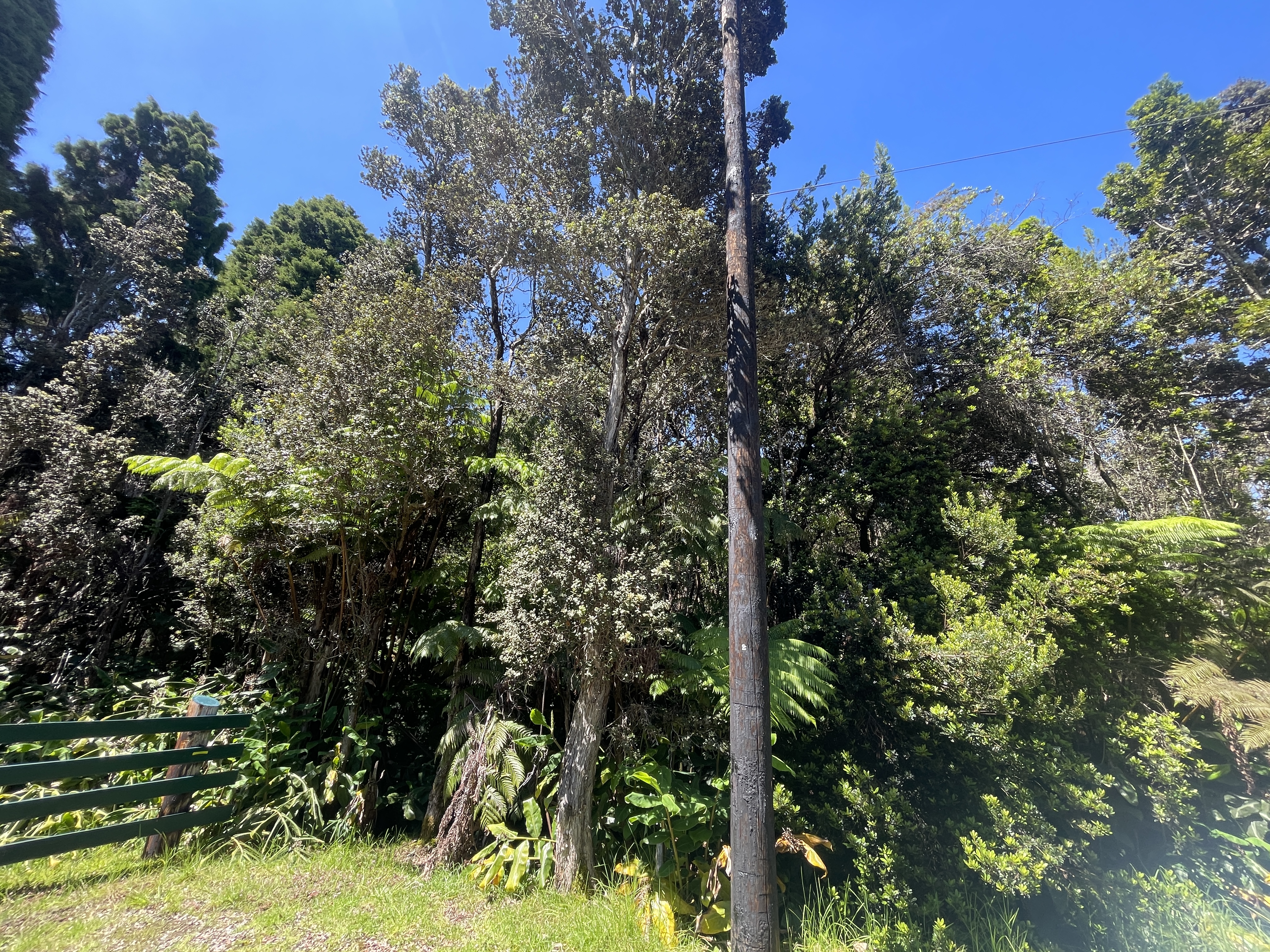 19-4243 Io Place Volcano, HI 96785 - Photo 3 of 5