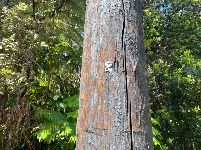 $75,000 | 19-4243 Io Place, Volcano, HI 96785