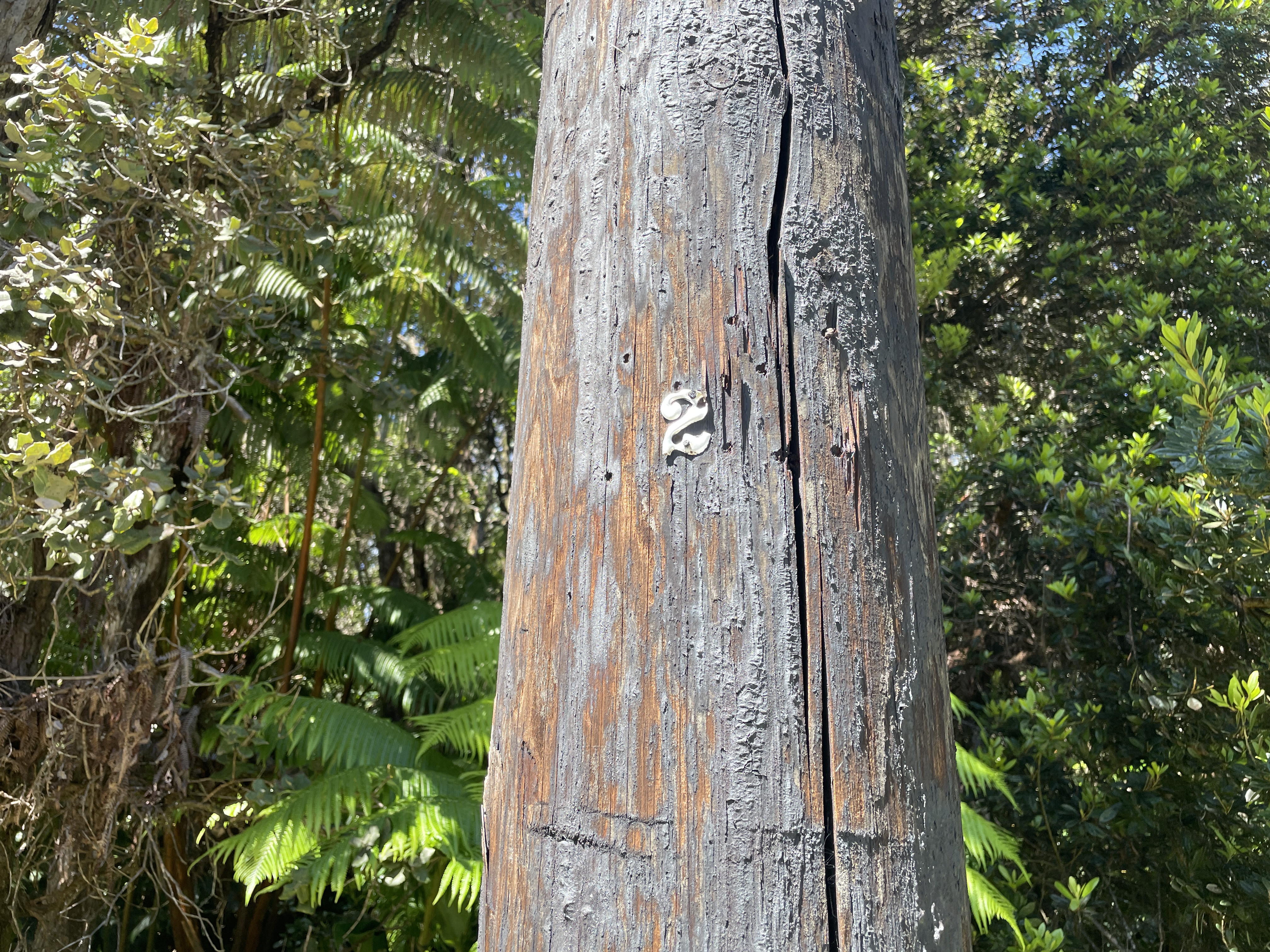 19-4243 Io Place Volcano, HI 96785 - Photo 4 of 5