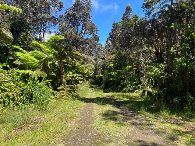 $75,000 | 19-4243 Io Place, Volcano, HI 96785