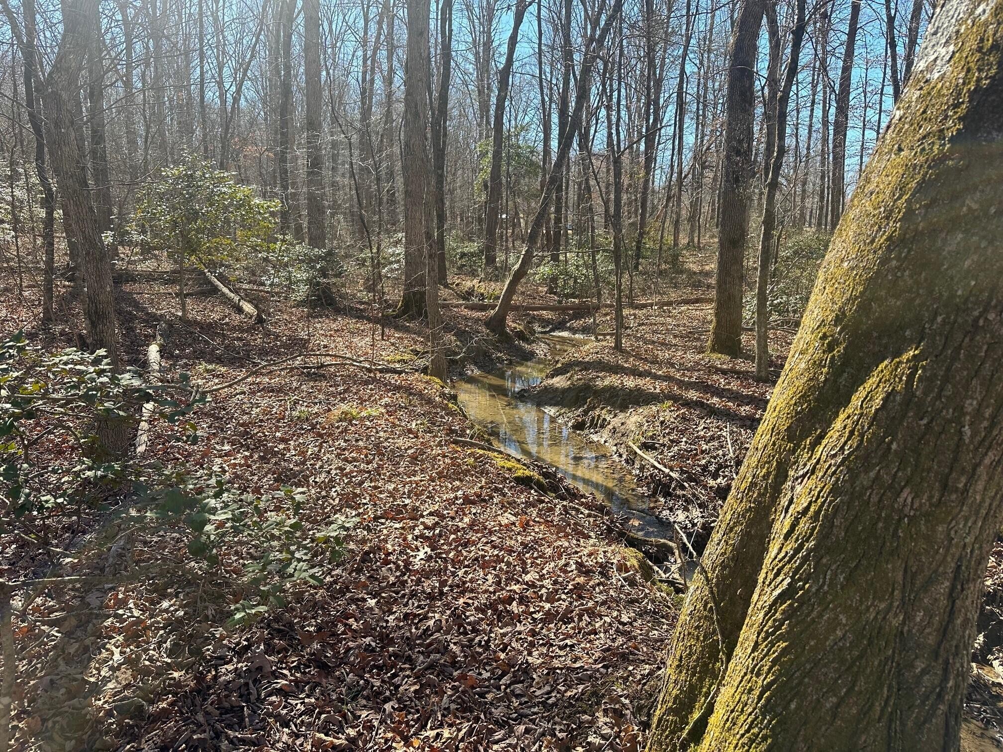 2 Newt Meeks Road Tracy City, TN 37387 - Photo 1 of 3 Gallery Image 1