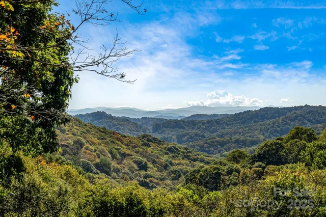 a view of a mountain in the distance in a field