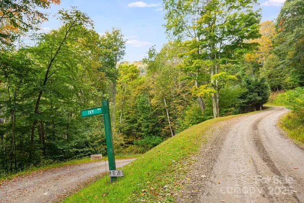 a view of a pathway both side of yard