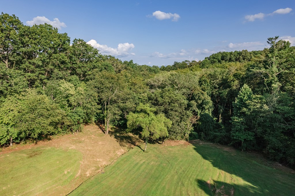 270 Stone Lane Blue Ridge, GA 30513 - Photo 66 of 76