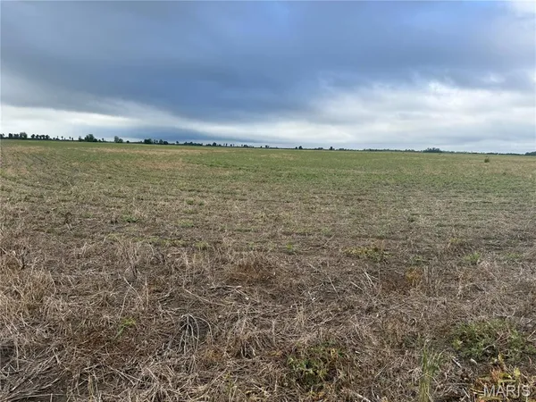 $356,125 | 0 County Road 406, Hayti, MO 63851