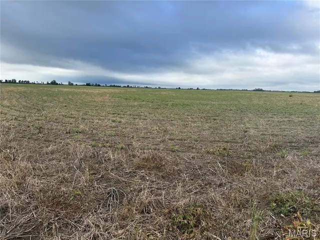 $356,125 | 0 County Road 406, Hayti, MO 63851