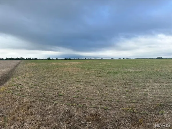 $356,125 | 0 County Road 406, Hayti, MO 63851