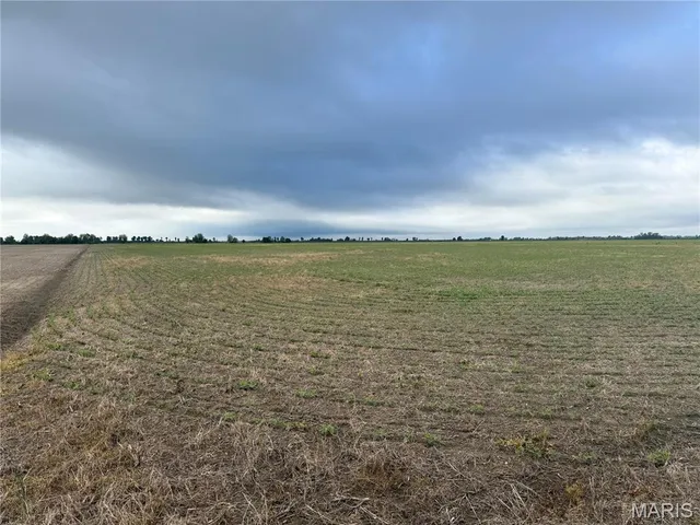 $356,125 | 0 County Road 406, Hayti, MO 63851