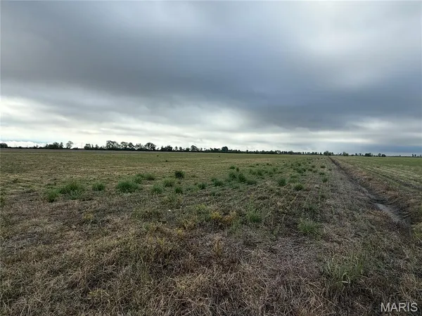 $356,125 | 0 County Road 406, Hayti, MO 63851