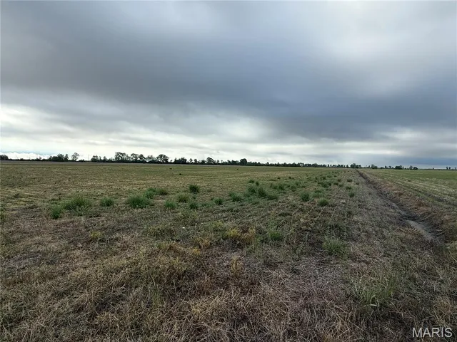 $356,125 | 0 County Road 406, Hayti, MO 63851