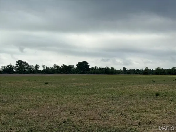 $356,125 | 0 County Road 406, Hayti, MO 63851