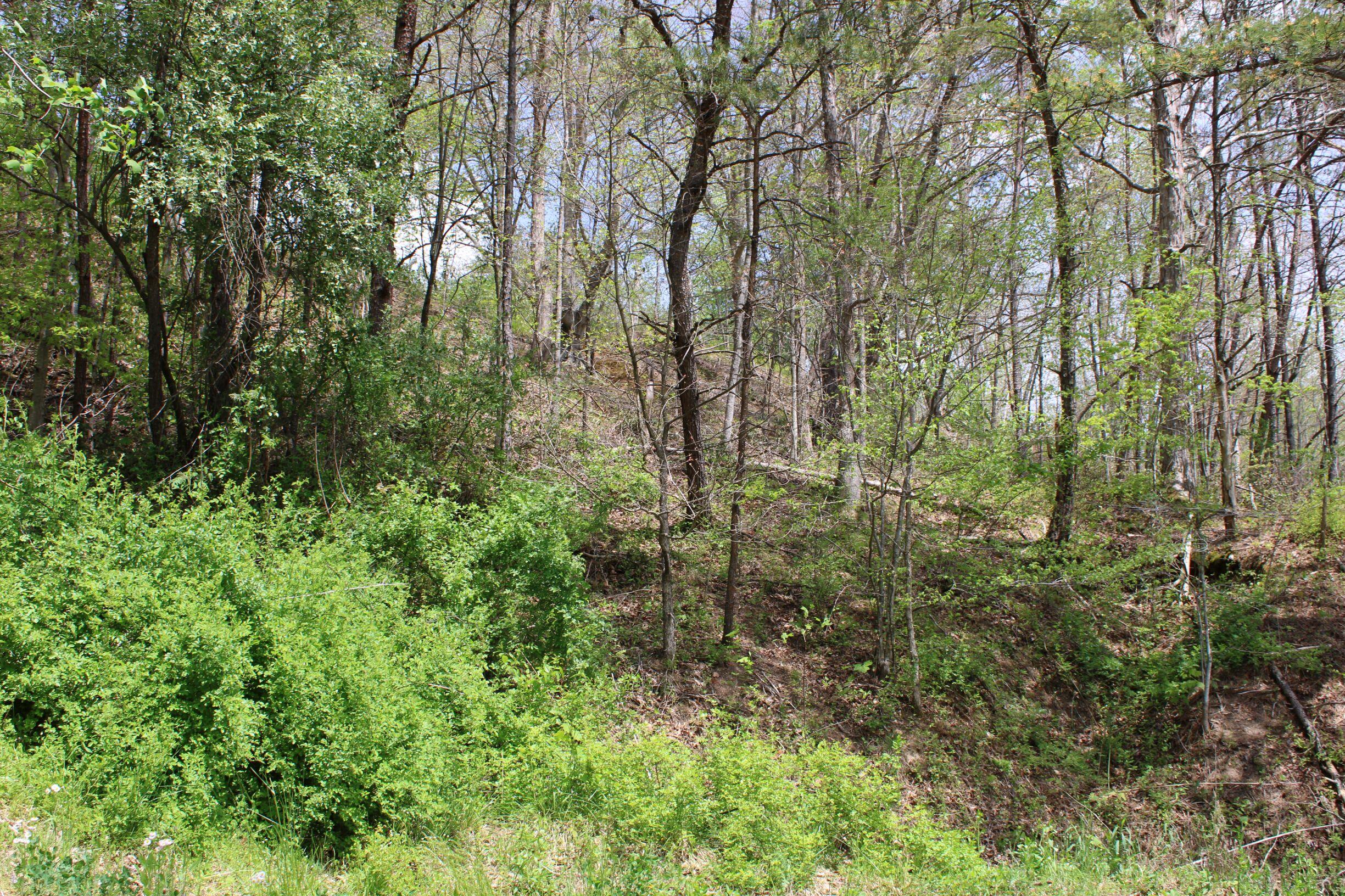 9999 Upper Rader Road Manchester, KY 40962 - Photo 21 of 37 IMG_0798