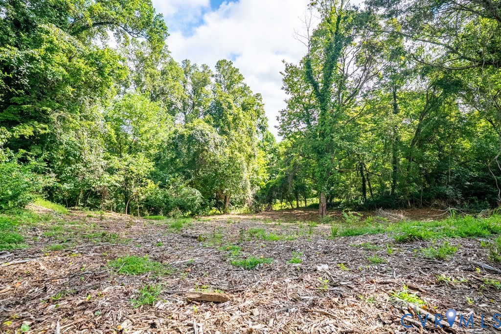 830 Buffalo Street Farmville, VA 23901 - Photo 28 of 50