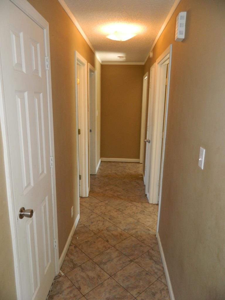 1050 Shadow Ridge Avenue Oak Grove, KY 42262 - Photo 3 of 9
