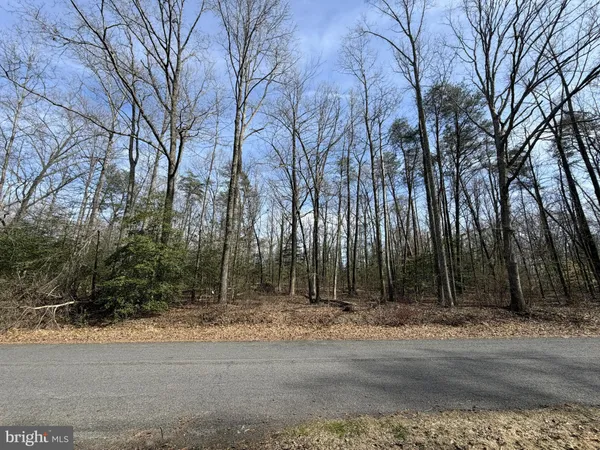$125,000 | Lot 8 Park Avenue, White Plains, MD 20695