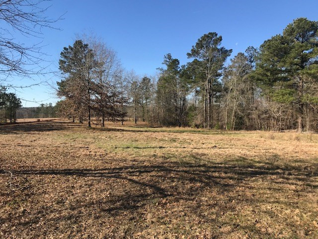 1 D Angela Road Wagener, SC 29164 - Photo 8 of 14