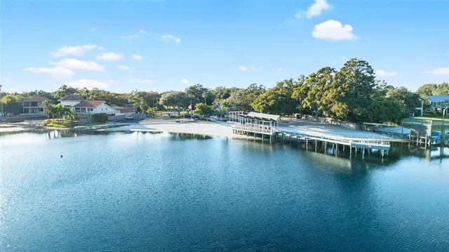 $550,000 | 11006 Carrollwood Drive, Tampa, FL 33618