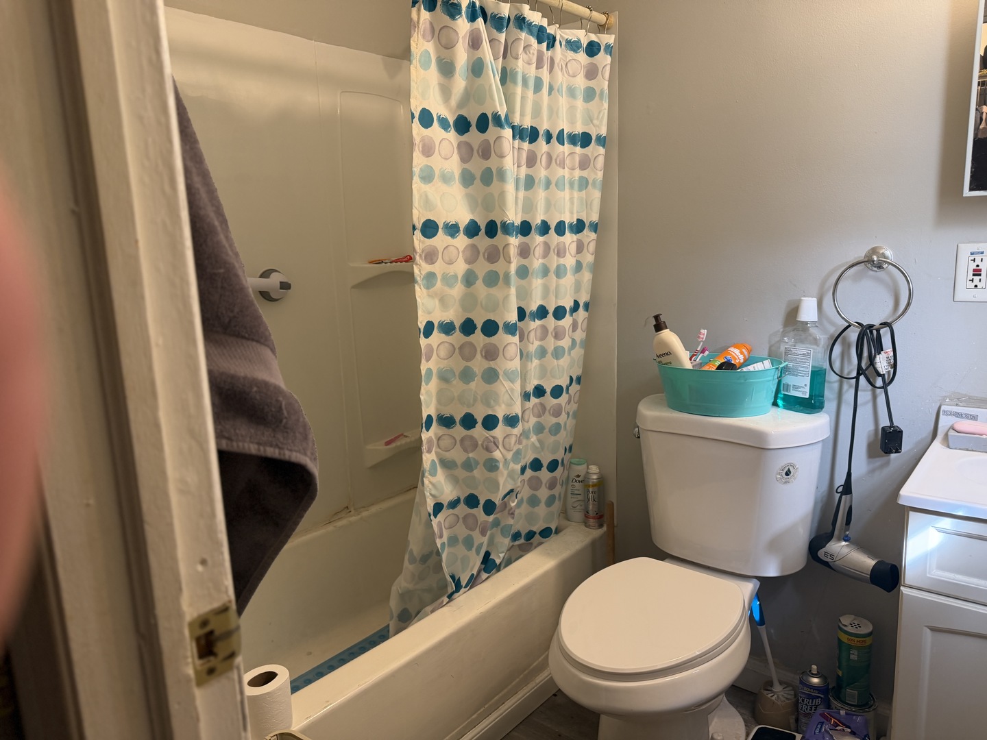 75 Willard Avenue, Unit 4 Elgin, IL 60120 - Photo 13 of 18 a white toilet sitting next to a shower curtain
