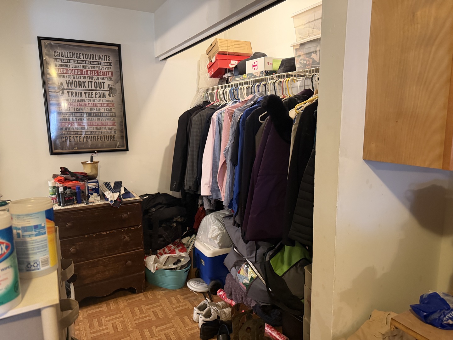 75 Willard Avenue, Unit 4 Elgin, IL 60120 - Photo 9 of 18 a view of walk in closet with clothes and shoes