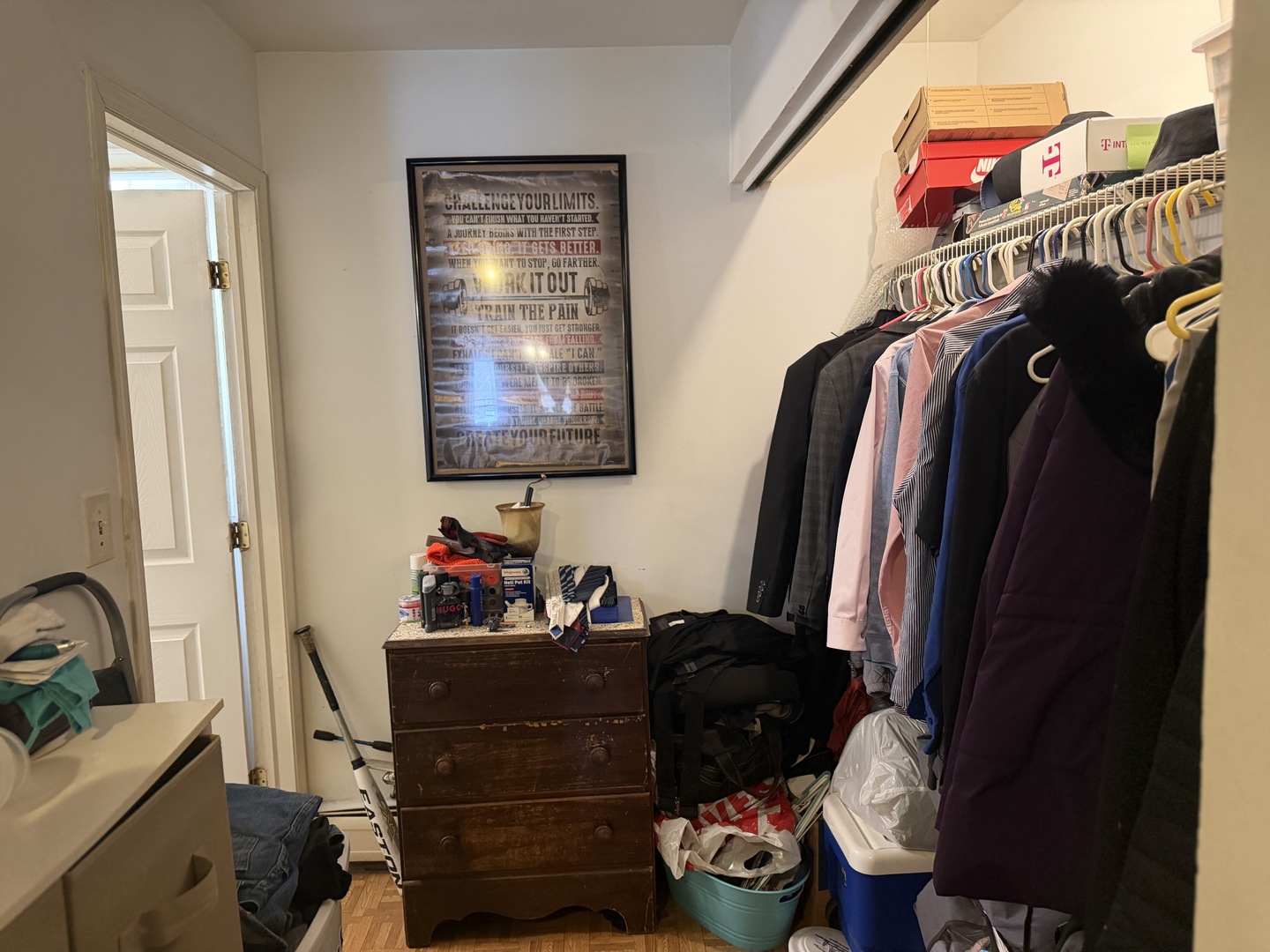 75 Willard Avenue, Unit 4 Elgin, IL 60120 - Photo 10 of 18 a view of walk in closet with clothes and shoes