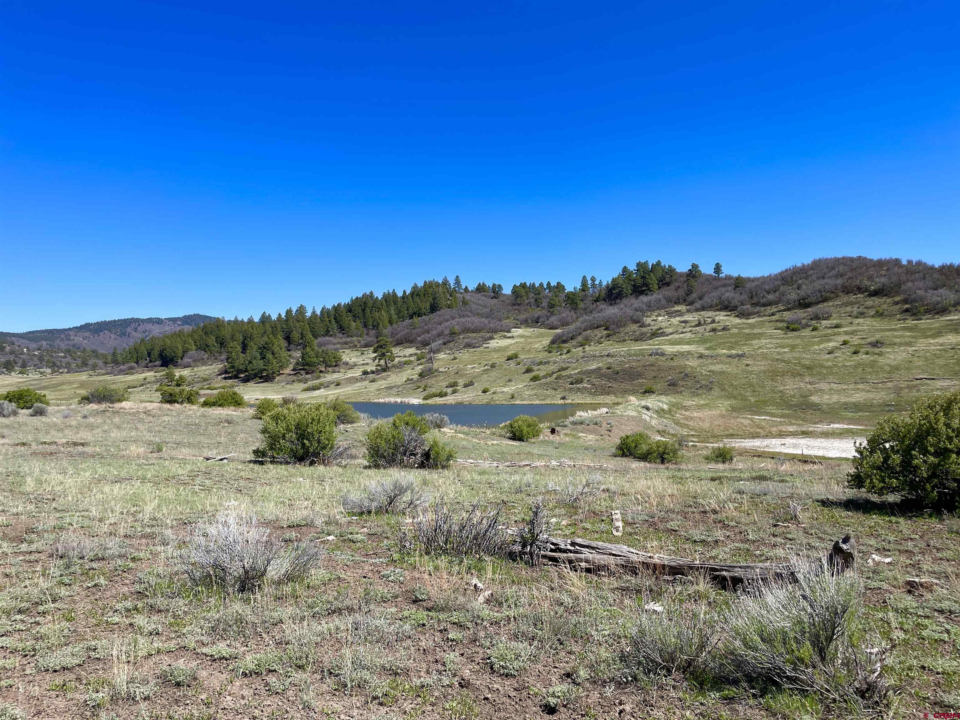 265 Spring Creek Circle Chromo, CO 81128 - Photo 12 of 13 a view of an outdoor space with green field and mountains
