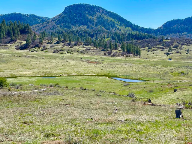 $125,000 | 265 Spring Creek Circle, Chromo, CO 81128