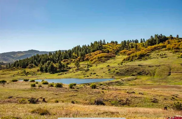 $75,000 | 265 Spring Creek Circle, Chromo, CO 81128