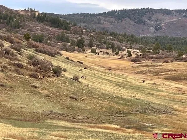 a view of an outdoor space with green field and mountains