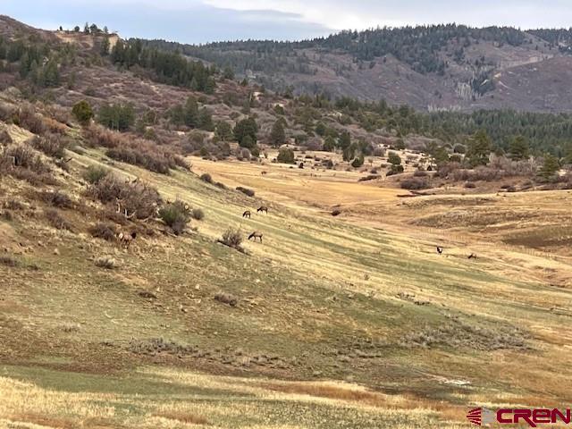 265 Spring Creek Circle Chromo, CO 81128 - Photo 9 of 13 a view of mountain view with wooden floor