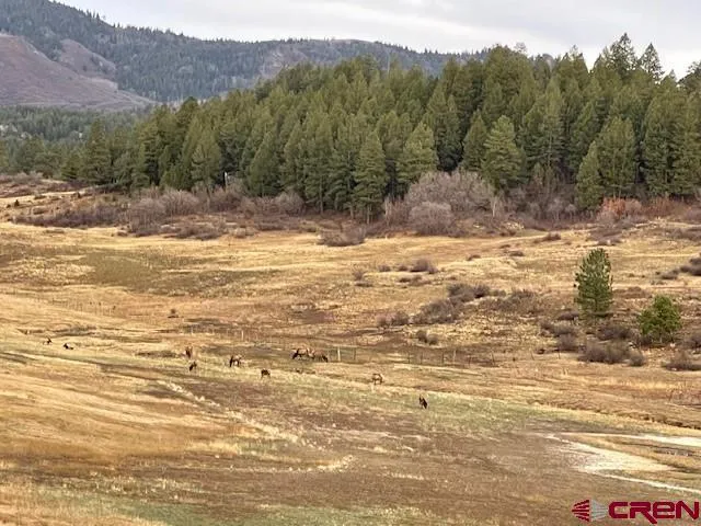 $125,000 | 265 Spring Creek Circle, Chromo, CO 81128