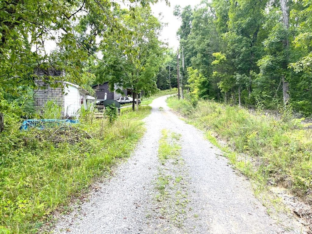 45 Slover Springs Road Dandridge, TN 37725 - Photo 16 of 20 Gallery Image 16