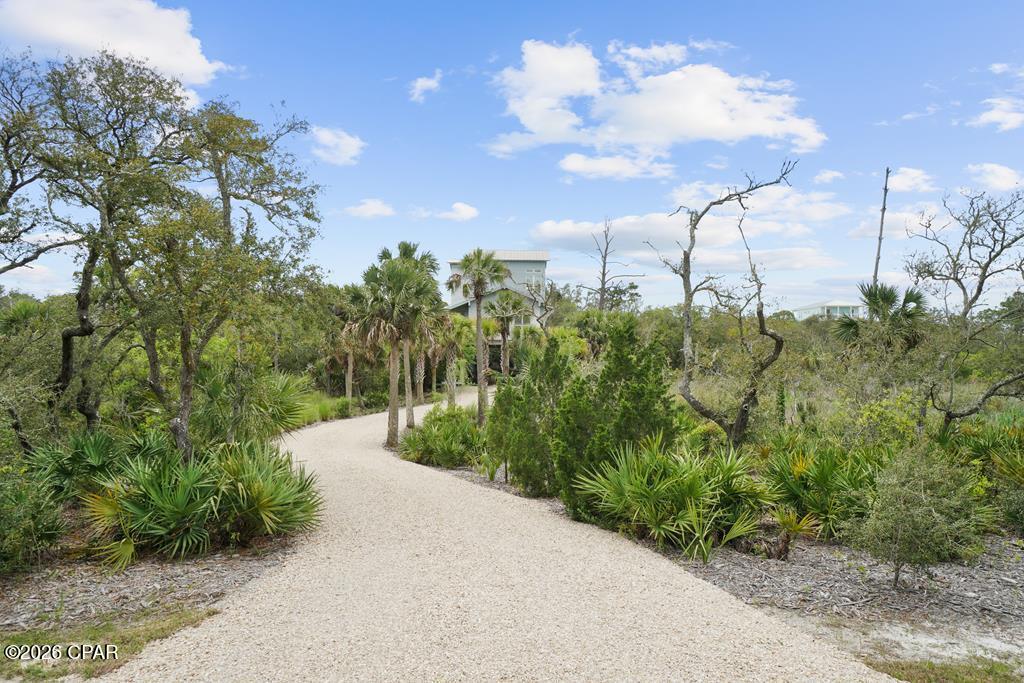 2298 Indian Pass Road Port St. Joe, FL 32456 - Photo 46 of 56