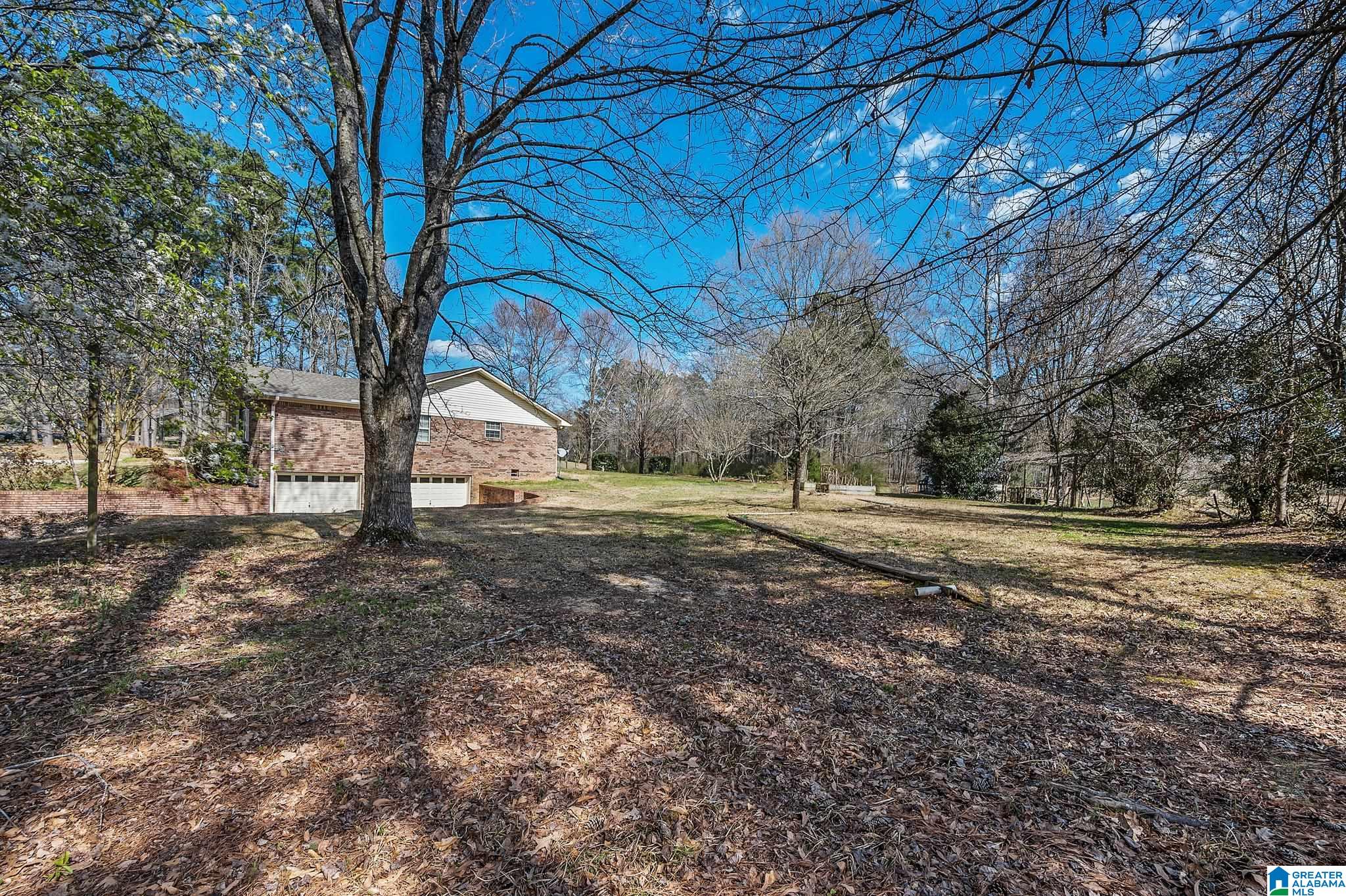 3821 Mt Olive Road Mount Olive, AL 35117 - Photo 4 of 40