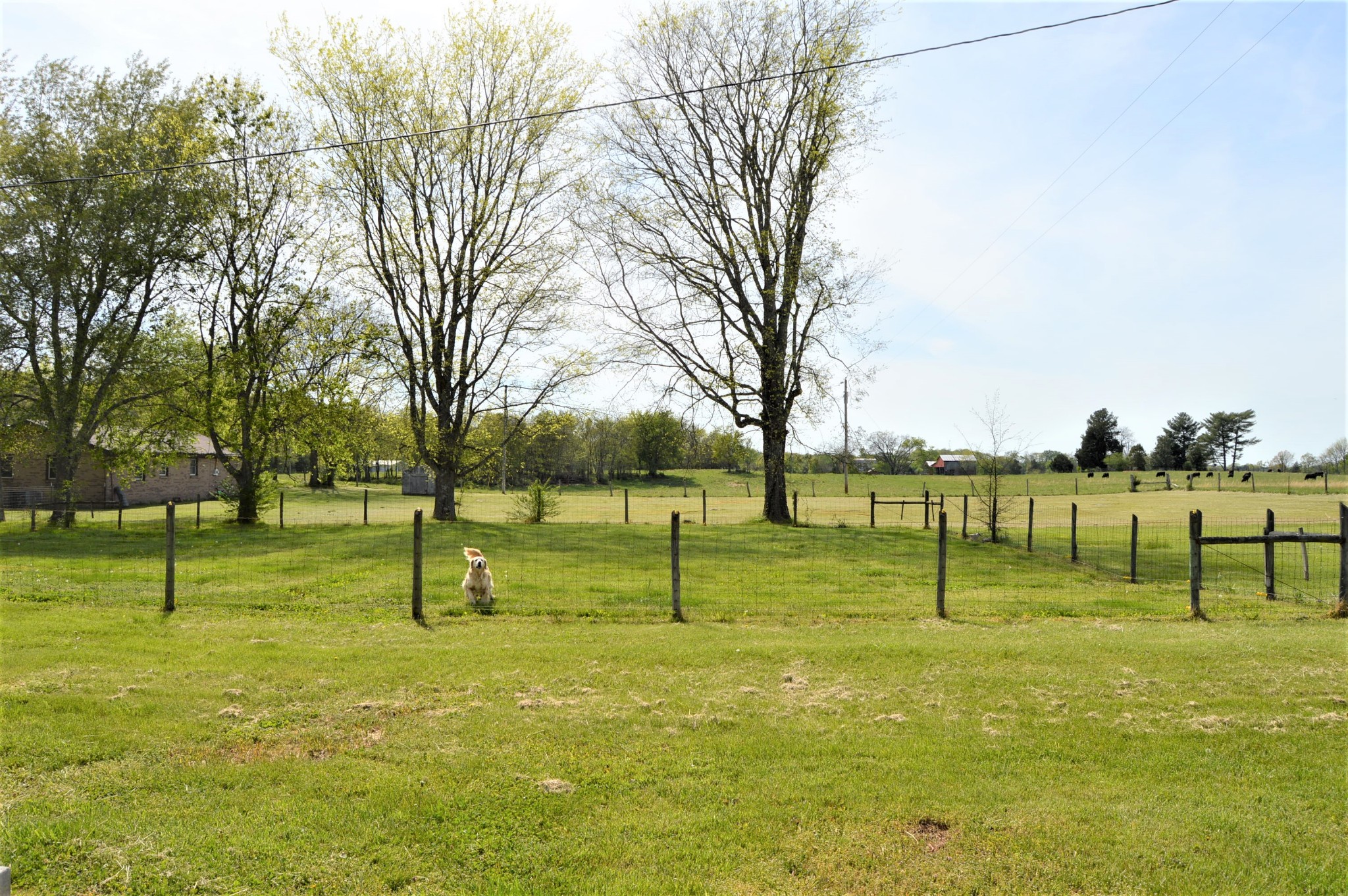 1026 Double Bridge Road Lewisburg, TN 37091 - Photo 29 of 31 Gallery Image 29