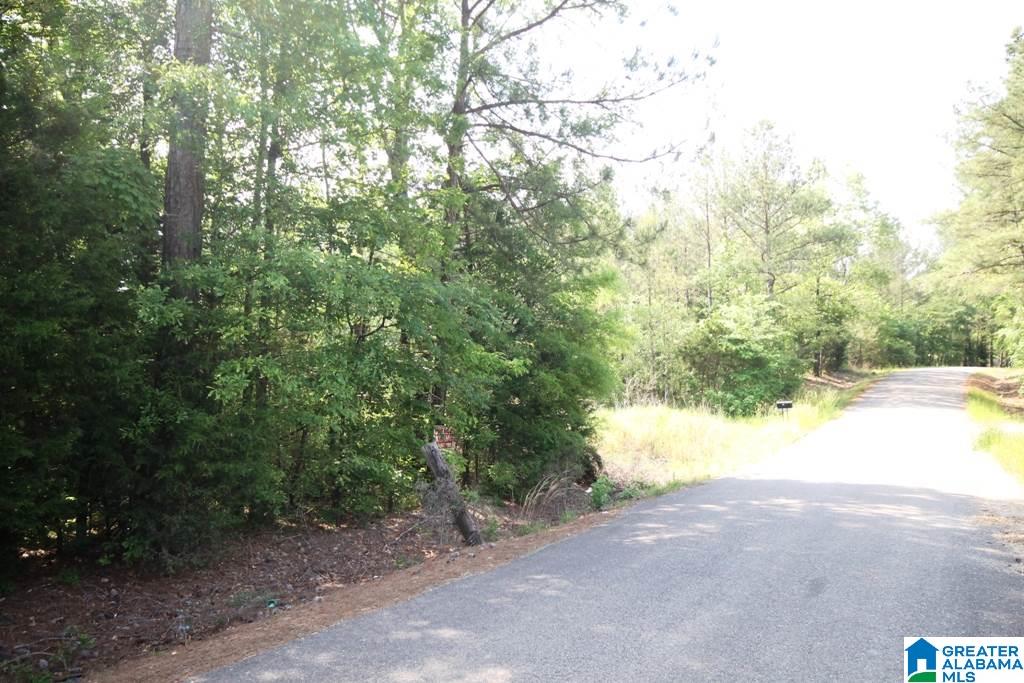 2654 Mayfield Road, Unit 4 44 Lincoln, AL 35096 - Photo 3 of 17