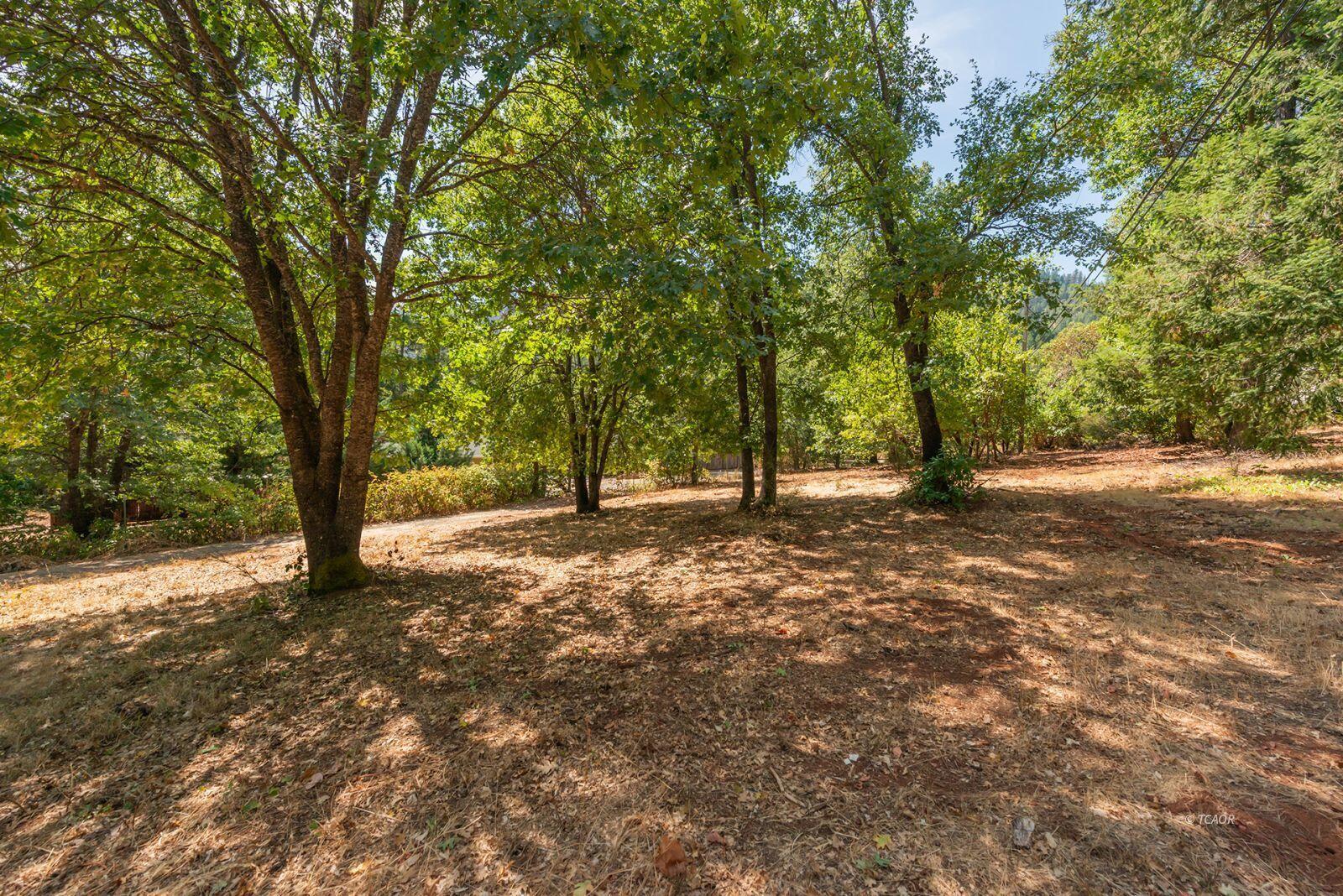 171 Conner Creek Road Junction City, CA 96048 - Photo 2 of 26