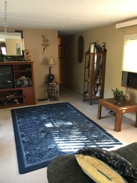 1271 Shores Road Falls Of Rough, KY 40119 - Photo 12 of 19 Living Room