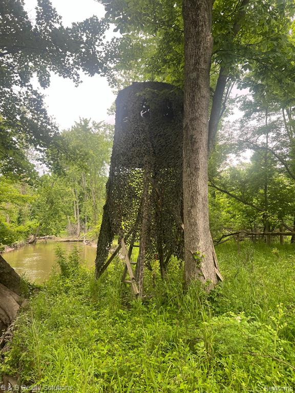 0 Ducker Road Marlette, MI 48453 - Photo 18 of 44