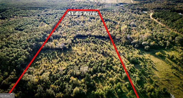 a view of a wooden bridge