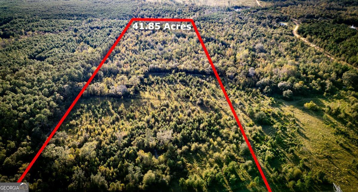 0 Morris Landing Baxley, GA 31513 - Photo 3 of 9 a picture of a tree