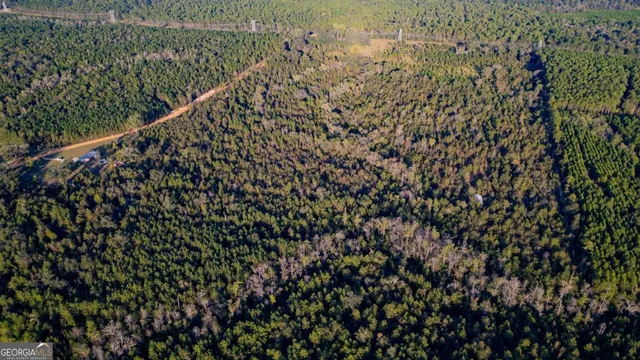 a view of a space with a tree