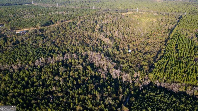 a view of a bunch of trees