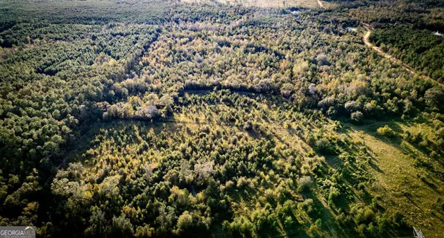 a view of city and mountain