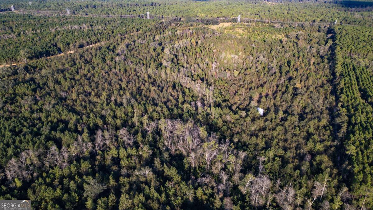 0 Morris Landing Baxley, GA 31513 - Photo 7 of 9 a view of city and mountain